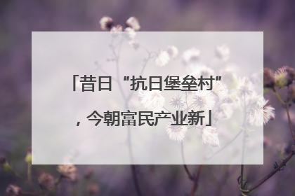 昔日“抗日堡垒村”，今朝富民产业新