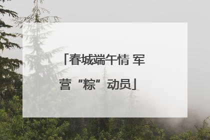 春城端午情 军营“粽”动员