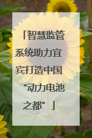 智慧监管系统助力宜宾打造中国“动力电池之都”