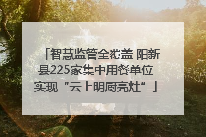 智慧监管全覆盖 阳新县225家集中用餐单位实现“云上明厨亮灶”
