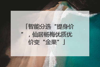 智能分选“提身价”，仙居杨梅优质优价变“金果”