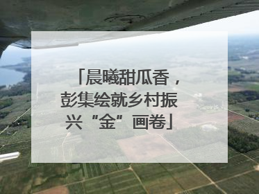 晨曦甜瓜香，彭集绘就乡村振兴“金”画卷