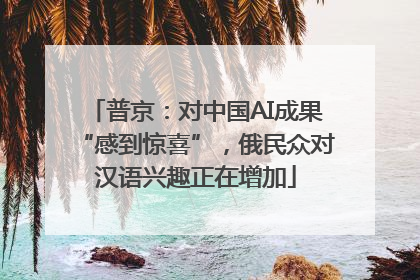 普京：对中国AI成果“感到惊喜”，俄民众对汉语兴趣正在增加