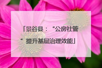 景谷县：“公房社管”提升基层治理效能