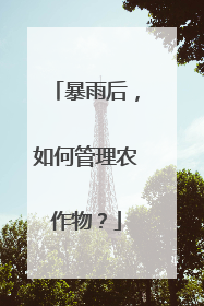 暴雨后，如何管理农作物？