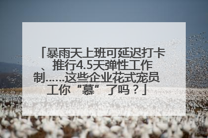 暴雨天上班可延迟打卡、推行4.5天弹性工作制……这些企业花式宠员工你“慕”了吗？