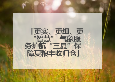 更实、更细、更“智慧” 气象服务护航“三夏”保障夏粮丰收归仓