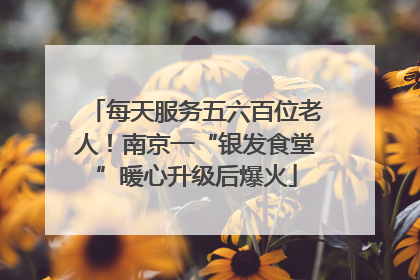 每天服务五六百位老人！南京一“银发食堂”暖心升级后爆火