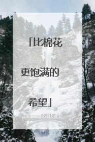 比棉花更饱满的希望