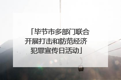 毕节市多部门联合开展打击和防范经济犯罪宣传日活动