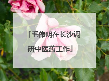 毛伟明在长沙调研中医药工作