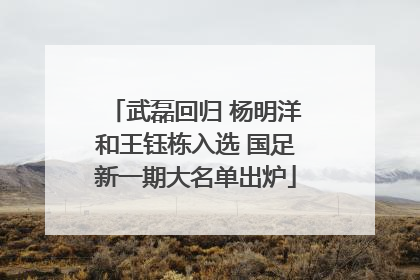 武磊回归 杨明洋和王钰栋入选 国足新一期大名单出炉