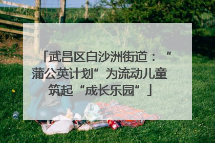 武昌区白沙洲街道：“蒲公英计划”为流动儿童筑起“成长乐园”
