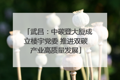 武昌：中碳登大厦成立楼宇党委 推进双碳产业高质量发展