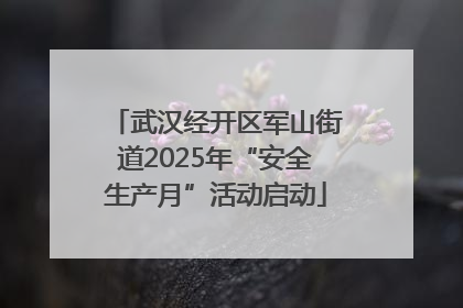 武汉经开区军山街道2025年“安全生产月”活动启动