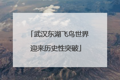 武汉东湖飞鸟世界迎来历史性突破