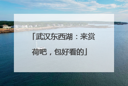 武汉东西湖：来赏荷吧，包好看的