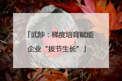 武陟：梯度培育赋能企业“拔节生长”