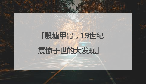 殷墟甲骨，19世纪震惊于世的大发现