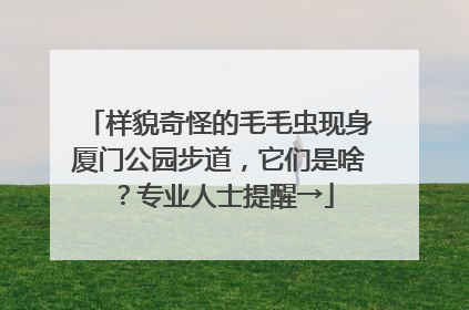 样貌奇怪的毛毛虫现身厦门公园步道，它们是啥？专业人士提醒→