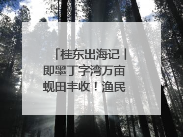 桂东出海记丨即墨丁字湾万亩蚬田丰收！渔民泥里挖蚬，一天上岸过千斤