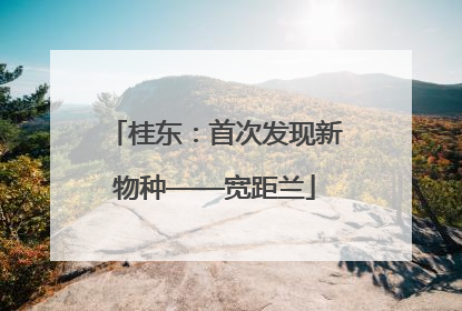 桂东：首次发现新物种——宽距兰