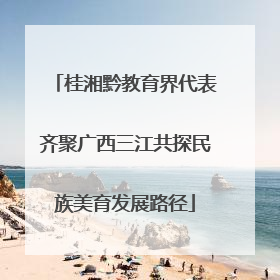 桂湘黔教育界代表齐聚广西三江共探民族美育发展路径
