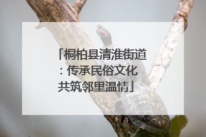 桐柏县清淮街道：传承民俗文化 共筑邻里温情