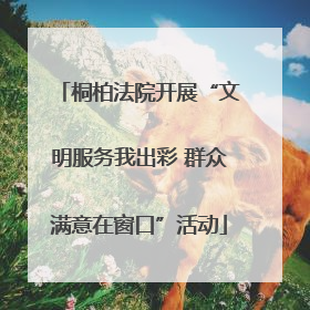 桐柏法院开展“文明服务我出彩 群众满意在窗口”活动