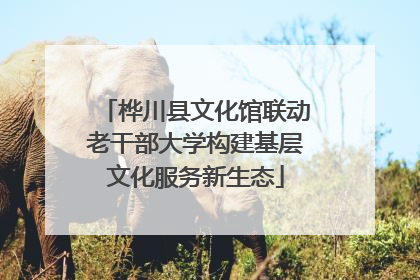 桦川县文化馆联动老干部大学构建基层文化服务新生态