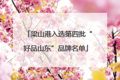 梁山港入选第四批“好品山东”品牌名单