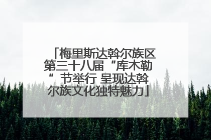 梅里斯达斡尔族区第三十八届“库木勒”节举行 呈现达斡尔族文化独特魅力