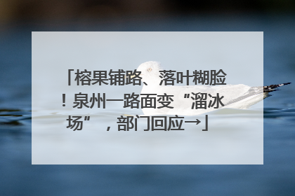 榕果铺路、落叶糊脸！泉州一路面变“溜冰场”，部门回应→