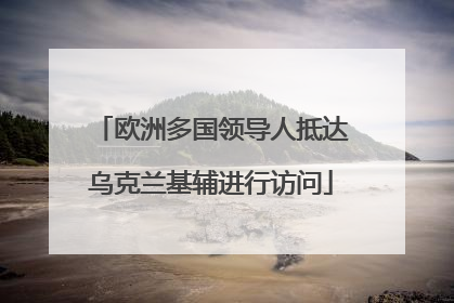 欧洲多国领导人抵达乌克兰基辅进行访问