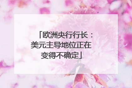 欧洲央行行长：美元主导地位正在变得不确定