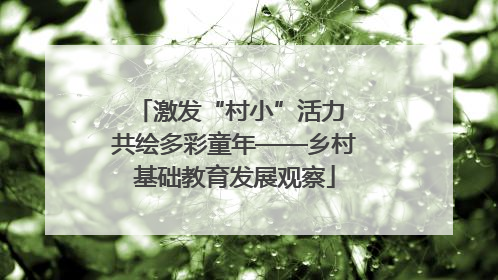 激发“村小”活力 共绘多彩童年——乡村基础教育发展观察