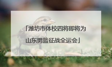 潍坊市体校四将即将为山东男篮征战全运会