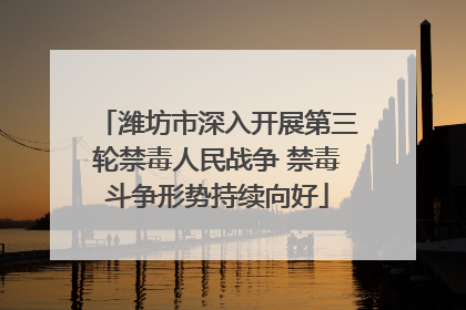 潍坊市深入开展第三轮禁毒人民战争 禁毒斗争形势持续向好