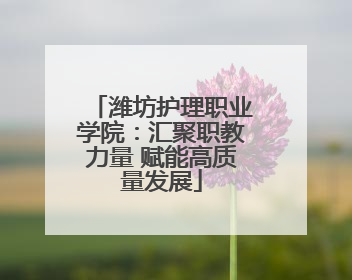 潍坊护理职业学院：汇聚职教力量 赋能高质量发展