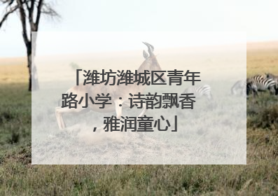 潍坊潍城区青年路小学：诗韵飘香，雅润童心