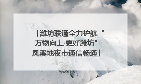 潍坊联通全力护航“万物向上·更好潍坊”凤溪地夜市通信畅通