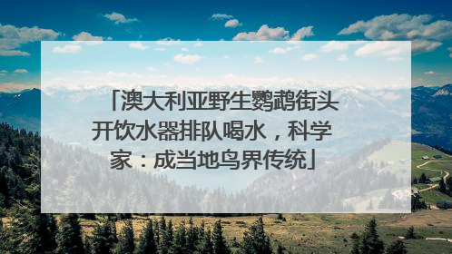 澳大利亚野生鹦鹉街头开饮水器排队喝水，科学家：成当地鸟界传统