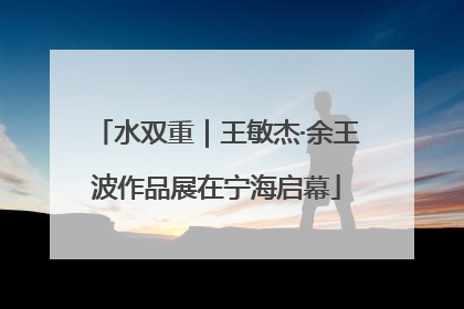 水双重｜王敏杰·余王波作品展在宁海启幕