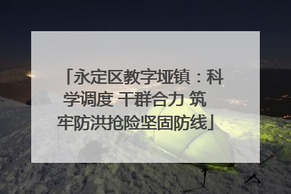 永定区教字垭镇：科学调度 干群合力 筑牢防洪抢险坚固防线
