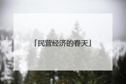 民营经济的春天