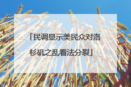 民调显示美民众对洛杉矶之乱看法分裂