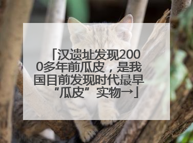 汉遗址发现2000多年前瓜皮，是我国目前发现时代最早“瓜皮”实物→
