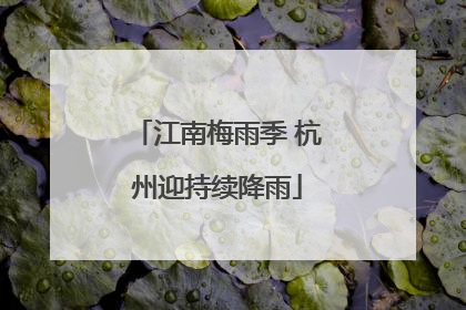 江南梅雨季 杭州迎持续降雨
