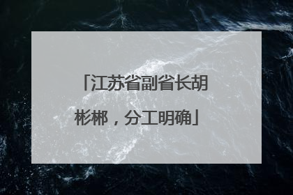 江苏省副省长胡彬郴，分工明确