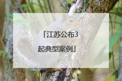 江苏公布3起典型案例